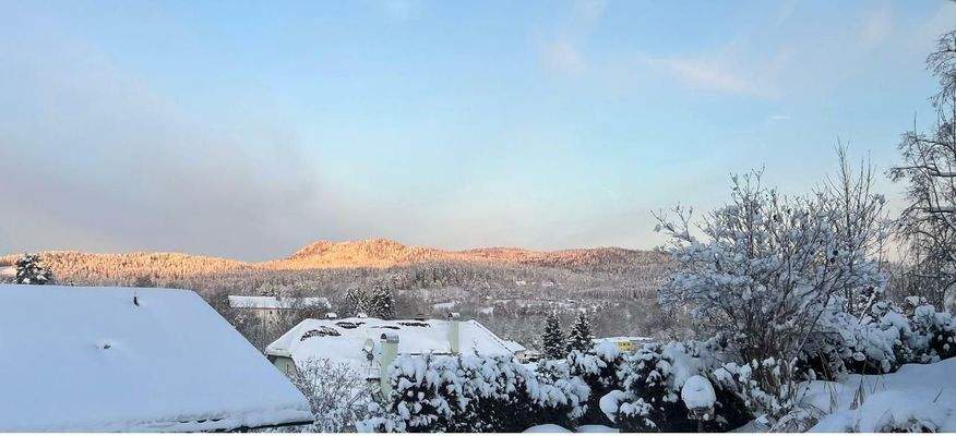 Aussicht Zwiesel vom Wohnraum