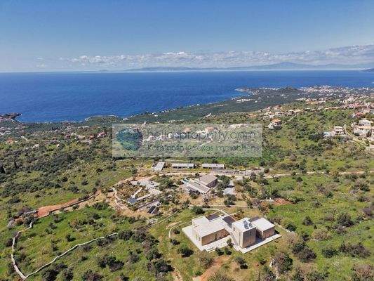 d9e16c79103643888ca844a8d135f9b7-original