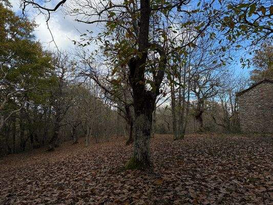 B01EE597-0994-4A6A-BE31-09E989147596_1_102_o