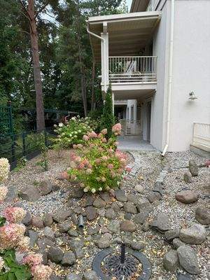 Sicht auf Terrasse.jpeg