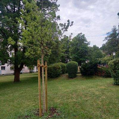 Teil der Gartenanlage