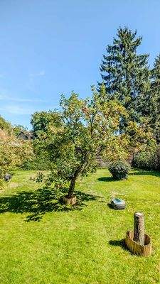Garten-5.jpg