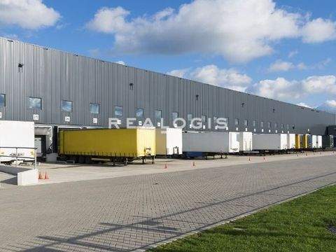 Rosbach vor der Höhe Halle, Rosbach vor der Höhe Hallenfläche