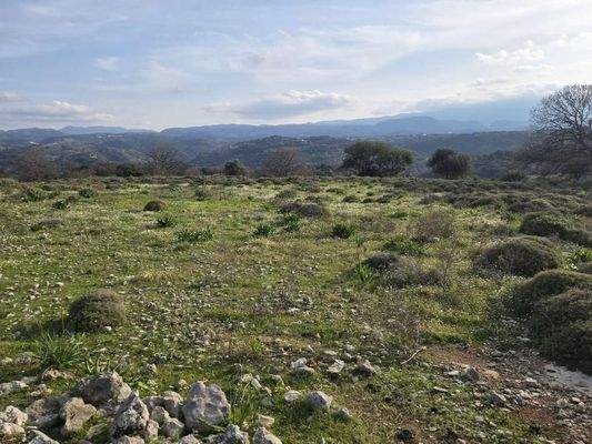 Kreta, Kato Valsamonero: Großes, bebaubares Grundstück zum Verkauf