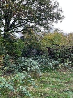 unterer Teil des Grundstücks