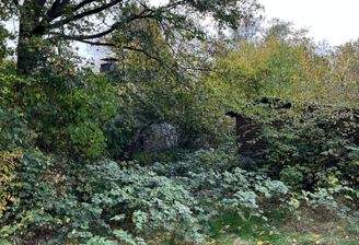 unterer Teil des Grundstücks