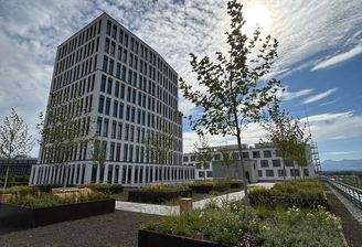 Lokhöfe_Sky Forest_2.JPEG