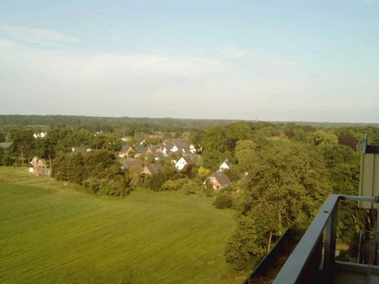 Blick über Waldenau