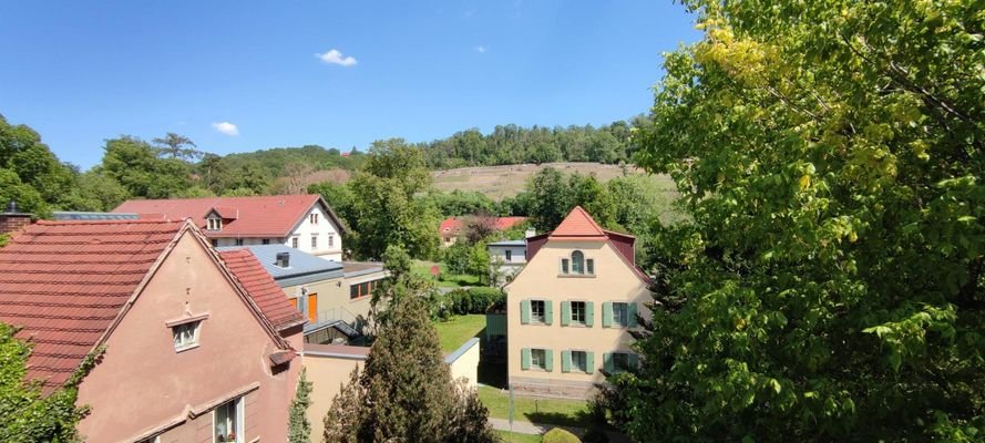 Blick v. Fenster auf Weinberg