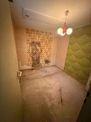 77facee9-4839-4399-a37f-e00efe2f8868