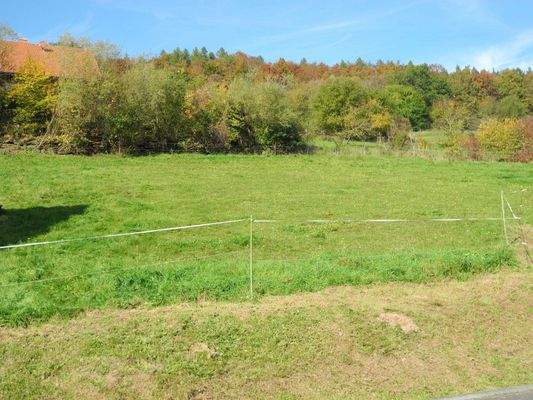 Hier könnte Dein neues Zuhause sein