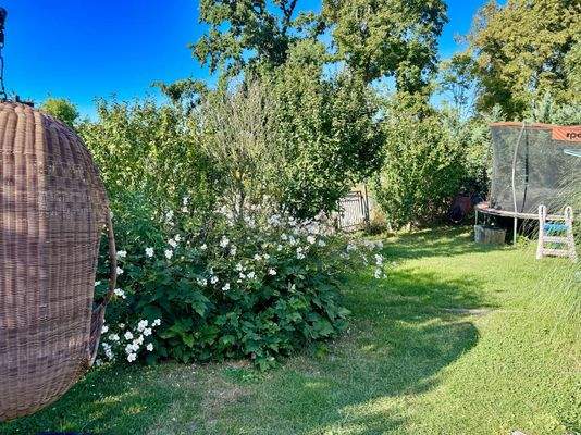 Garten - Sommer | August 2025