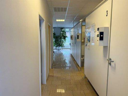 Bild3
