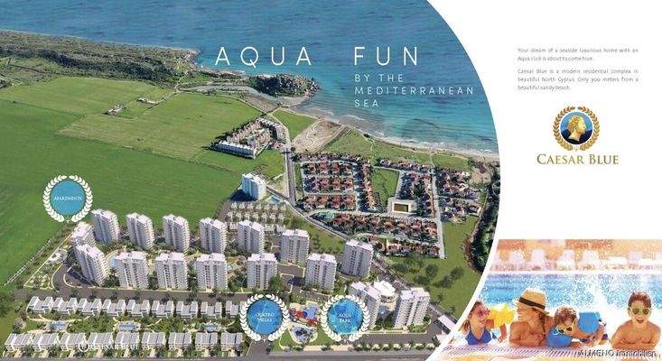 Caesar Projects Catalogue 2024_Seite_18