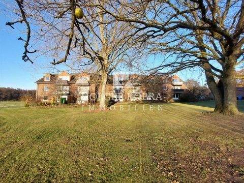 Kuhfelde Wohnungen, Kuhfelde Wohnung mieten