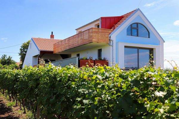 Kopie souboru IMG_2918-web.jpg