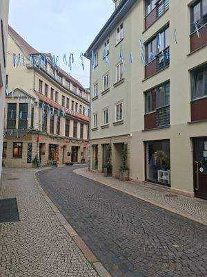 Blickrichtung Nordwest, Richtung Wittumspalais