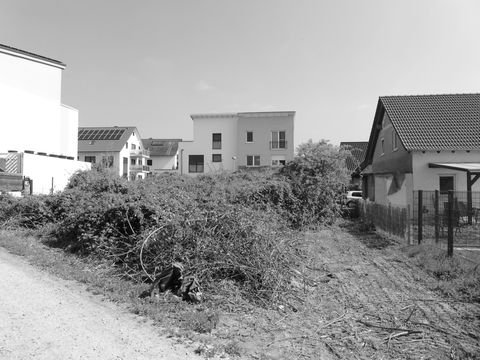 Weinheim Grundstücke, Weinheim Grundstück kaufen
