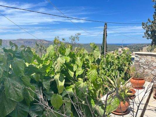 House For Sale In Nio Chorio IMG-20250603-WA0014.j