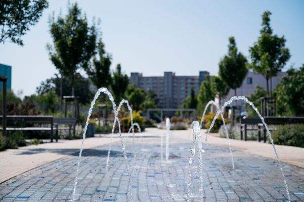 Neu ausgebaute Lili-Elbe-Straße