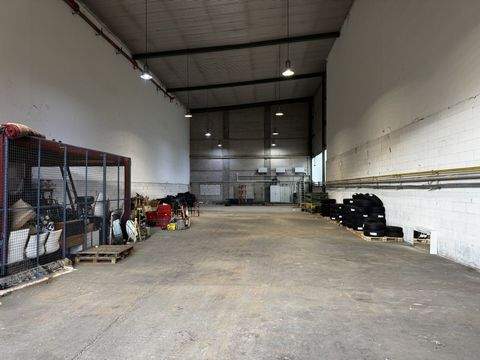 March Halle, March Hallenfläche