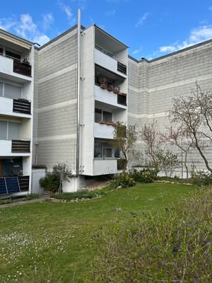 IMG_3709(1).jpg