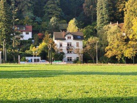 Freiburg im Breisgau Wohnungen, Freiburg im Breisgau Wohnung kaufen