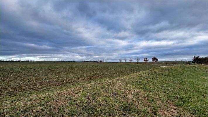 Acker hinter dem Grundstück