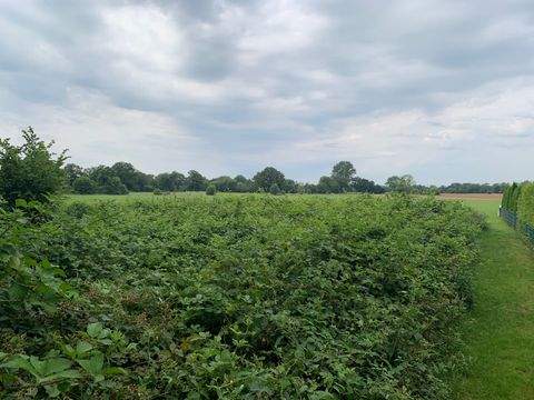 Kaltenkirchen Grundstücke, Kaltenkirchen Grundstück kaufen