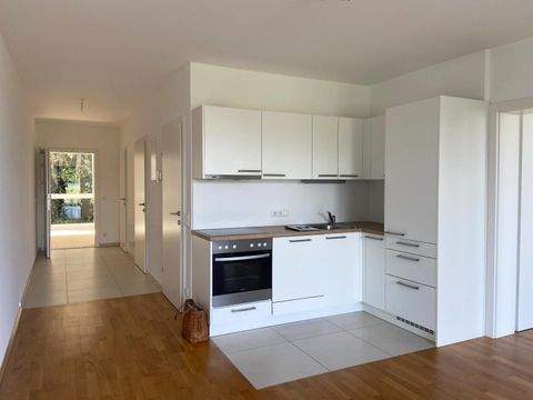 Feldkirchen an der Donau Wohnungen, Feldkirchen an der Donau Wohnung mieten