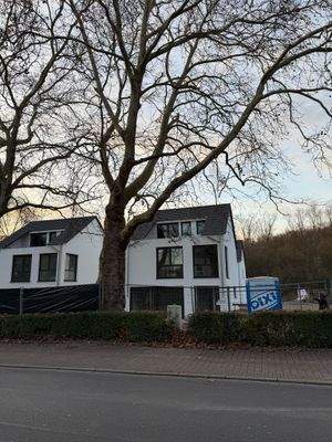 WhatsApp Image 2025-12-01 at 16.09.36.jpeg