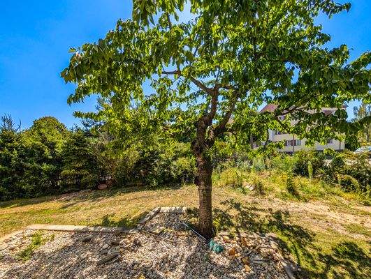 EG Blick aus dem Wohnzimmer