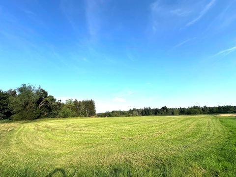 Eggstätt Bauernhöfe, Landwirtschaft, Eggstätt Forstwirtschaft