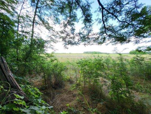 Örkény 20 ha linke Seite