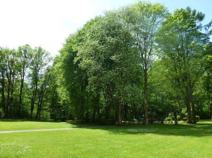 KIRCHSEEON IN DIE NEU RENOVIERTE WOHNUNG EINZIEHEN UND DIE AUSSICHT GENIESSEN