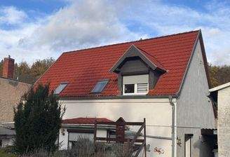 Blick aus dem Garten