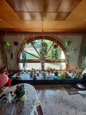 20220720_101443.jpg