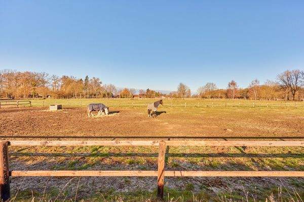 12 Koppeln & Paddocks.jpg