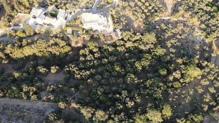 Kreta, Neo Chorio: Charmantes Baugrundstück mit Olivenbäumen und Panoramablick im Apokoronas zu verkaufen