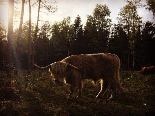 Oerlinghausen Umgebung