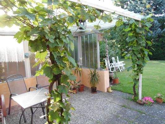 =?UTF-8?Q?Terasse_u=CC=88berdacht.jpg?=
