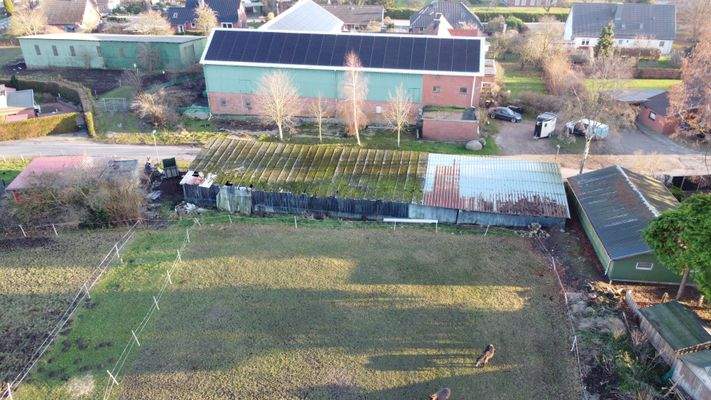 Schuppen in Langstücken