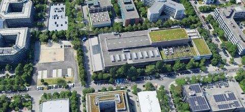 München Halle, München Hallenfläche