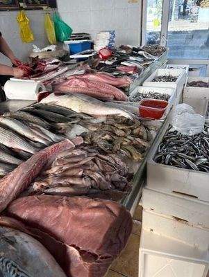 Täglich FRISCH auf den Tisch!