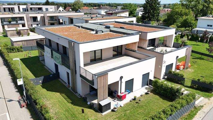 Dachterrasse erhoeht.jpg