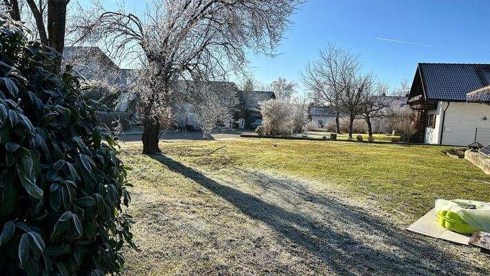 3fb556c2-b564-4663-906e-7c8d42e8409b 2.JPG