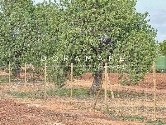 sa-comuna_00007_adcd3ec