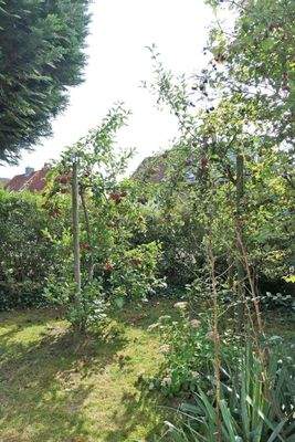 Gartenecke mit Obstbäumen