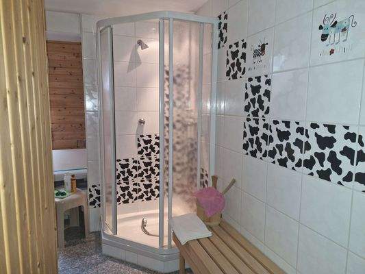 Badezimmer mit Sauna