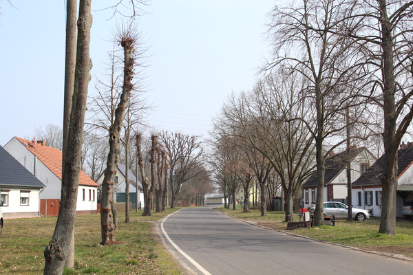 Straßensicht in Ostrichtung